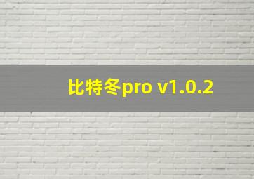 比特冬pro v1.0.2